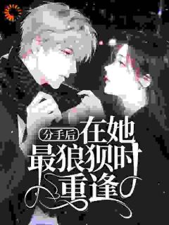 分手后，在她最狼狈时重逢小说在线阅读，主角苏晓晓方泠精彩段落最新篇