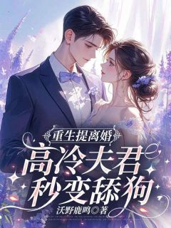 重生提离婚，高冷夫君秒变舔狗by沃野鹿鸣