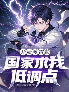 热文开局渡雷劫，国家求我低调点小说-主角林渊洛轻雪全文在线阅读