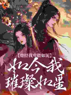 老书虫书荒推荐曾经我卑微如泥，如今我璀璨如星txt小说阅读