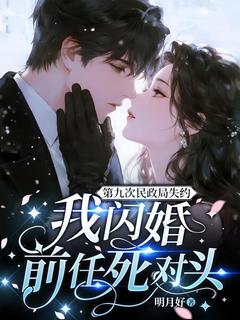 第九次民政局失约，我闪婚前任死对头林瓷闻政小说_第九次民政局失约，我闪婚前任死对头完结版阅读