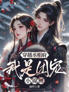 秦诺陆文珠主角的小说完结版穿越丞相府，我是团宠小锦鲤全集