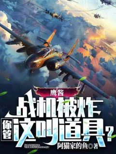 (独家)鹰酱战机被炸，你管这叫道具？陆尘秦雨薇小说
