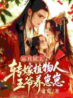 陆笙笙李承暻全集小说_逼我做妾？转嫁植物人王爷养崽崽完结版阅读