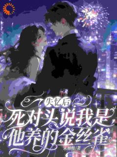 失忆后，死对头成了我的长期饭票锦明枝谭亦洲全章节在线阅读