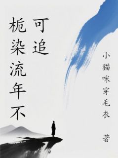 栀染流年不可追林以栀沈景初全本小说(栀染流年不可追)全章节小说目录阅读