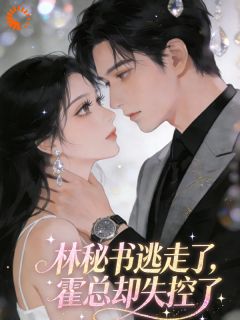 外婆海葬那天，前任老板找上门小说全集(林清叙霍执)无弹窗广告阅读