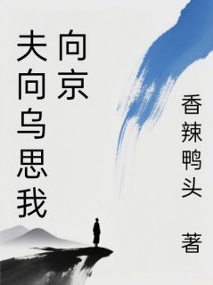 夫向乌思我向京小说主角是夏荞周斯年全文完整版阅读