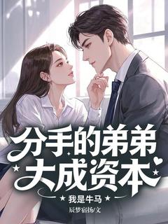 刘佳怡傅思宇主角小说分手的弟弟大成资本，我是牛马抖音文免费阅读全文