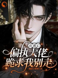 爆款小说出逃后，偏执大佬跪求我别走主角苏安季衍全文在线完本阅读