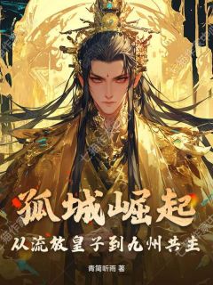 主角是萧宸萧衍的孤城崛起：从流放皇子到九州共主抖音热门小说