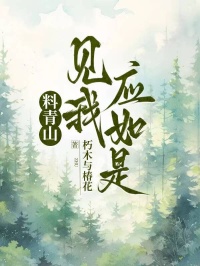 料青山见我应如是[抖音]小说-蒋青山阮小棠无删减阅读