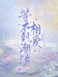 等不到潮汐相爱[抖音]小说-江翎月南宫弈苏晚璃无删减阅读