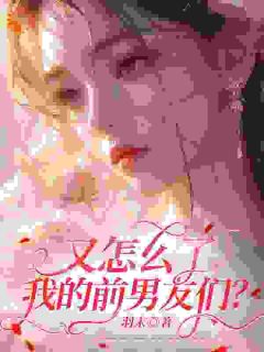 热门小说又怎么了我的前男友们?完整版全文阅读