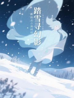 踏雪寻幻影无弹窗在线阅读