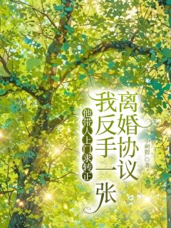 他带人上门求转正，我反手一张离婚协议小说好看吗 顾晋安最后结局如何-暗夜阅读网