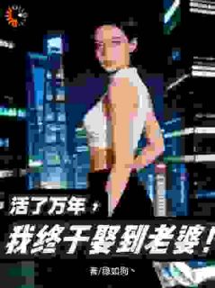 免费完结小说活了万年，我终于娶到老婆！陆北沈青语无弹窗免费阅读