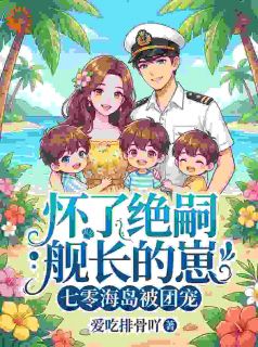 怀了绝嗣舰长的崽七零海岛被团宠(全章节)-苏念念霍凛在线阅读