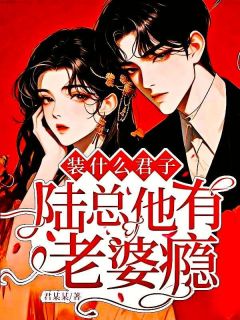 无弹窗小说装什么君子，陆总他有老婆瘾 作者君某某