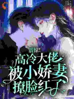 震惊！高冷大佬被小娇妻撩脸红了【全章节】姜晚宁傅霖完结版免费阅读