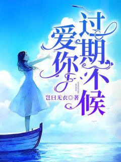 爱你过期不候小说全集(程如意陆星辰)无弹窗广告阅读