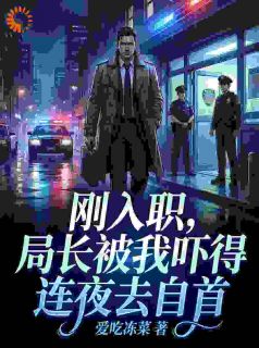 (精品)刚入职，局长被我吓得连夜去自首小说