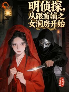 明侦探，从跟首辅之女洞房开始（全本）林七北张宜玥完整章节列表免费阅读