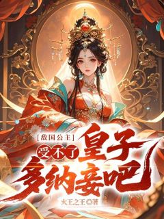 强烈推荐敌国公主：受不了，皇子多纳妾吧！萧辰完颜青岚在线阅读