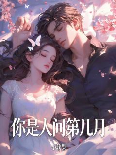 你是人间第几月沈清婉周聿深周佳瑶-玖日故事小说