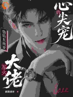 情陷东南亚，军火大佬的心尖宠全本小说（情陷东南亚，军火大佬的心尖宠）全文阅读