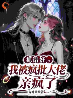 抓错奸，我被疯批大佬亲疯了小说-章小鱼樊夜全篇阅读-暗夜阅读网