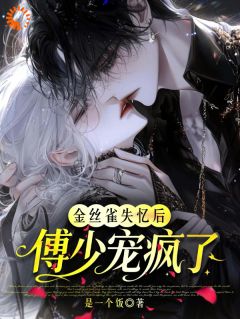 金丝雀失忆后，傅少宠疯了by林晚晚傅沉洲在线阅读