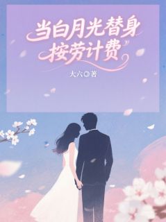 沈淮温晴沈总小说抖音热文当白月光替身按劳计费完结版