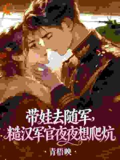 宋清也陈绍南小说<带娃去随军，糙汉军官夜夜想爬炕>全文在线阅读