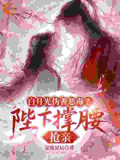 抖音许荞宁沈璟聿小说叫什么名字