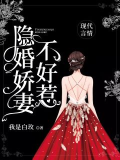 隐婚娇妻不好惹小说全集(伊人俞丛)无弹窗广告阅读