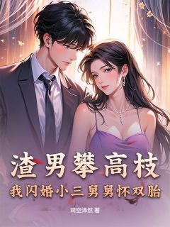 渣男攀高枝?我闪婚小三舅舅怀双胎宁钰宋明骞无广告在线阅读