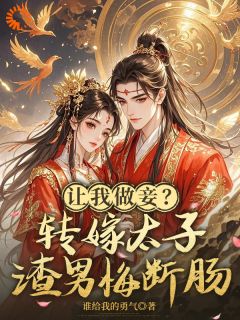 何岁宁陆怀安小说<让我做妾?转嫁太子,渣男悔断肠>全文在线阅读