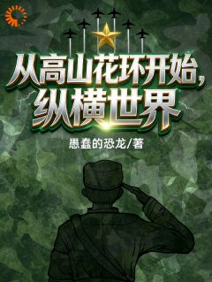 高山花环，开局送三喜回家见老娘全本小说（高山花环，开局送三喜回家见老娘）全文阅读-暗夜阅读网