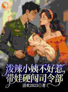 抱着娃找上门：这事没完！by清欢2025免费阅读小说大结局