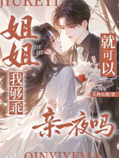 熬夜也要看完的姐姐,我够乖就可以亲一夜吗小说推荐