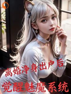 快手热推被弃家庭主夫，觉醒系统逆袭成大佬小说主角叶秋林婉儿在线阅读