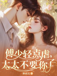 桐素沉写的小说傅少轻点虐，太太不要你了在线阅读