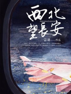 余西北陆长安西北望长安完结版小说全文免费阅读