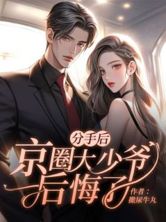 分手后，京圈大少爷后悔了小说(完本)-宋嘉傅闻声无错版阅读