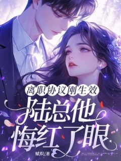 离职协议刚生效，陆总他悔红了眼（陆砚之乐锦宜江宛晴）精彩小说目录阅读