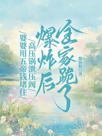 婆婆用五帝钱堵住高压锅泄压阀，爆炸后全家跪了小说(完整版)-林朝小溪章节阅读