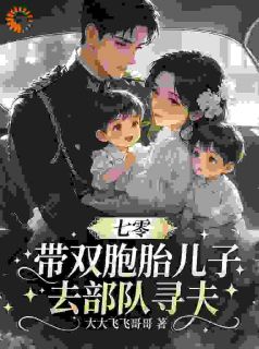 七零:带双胞胎儿子去部队寻夫知乎后续免费试读