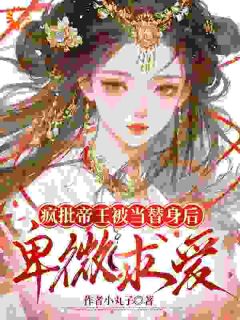 最完整版宫墙替身:我爱的是另一个人热门连载小说