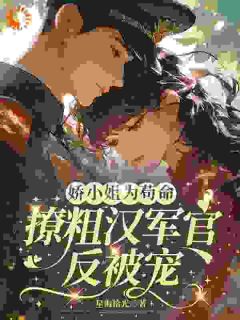 林薇薇裴听澜主角的小说完结版他的偏爱,治愈了我所有不安全集